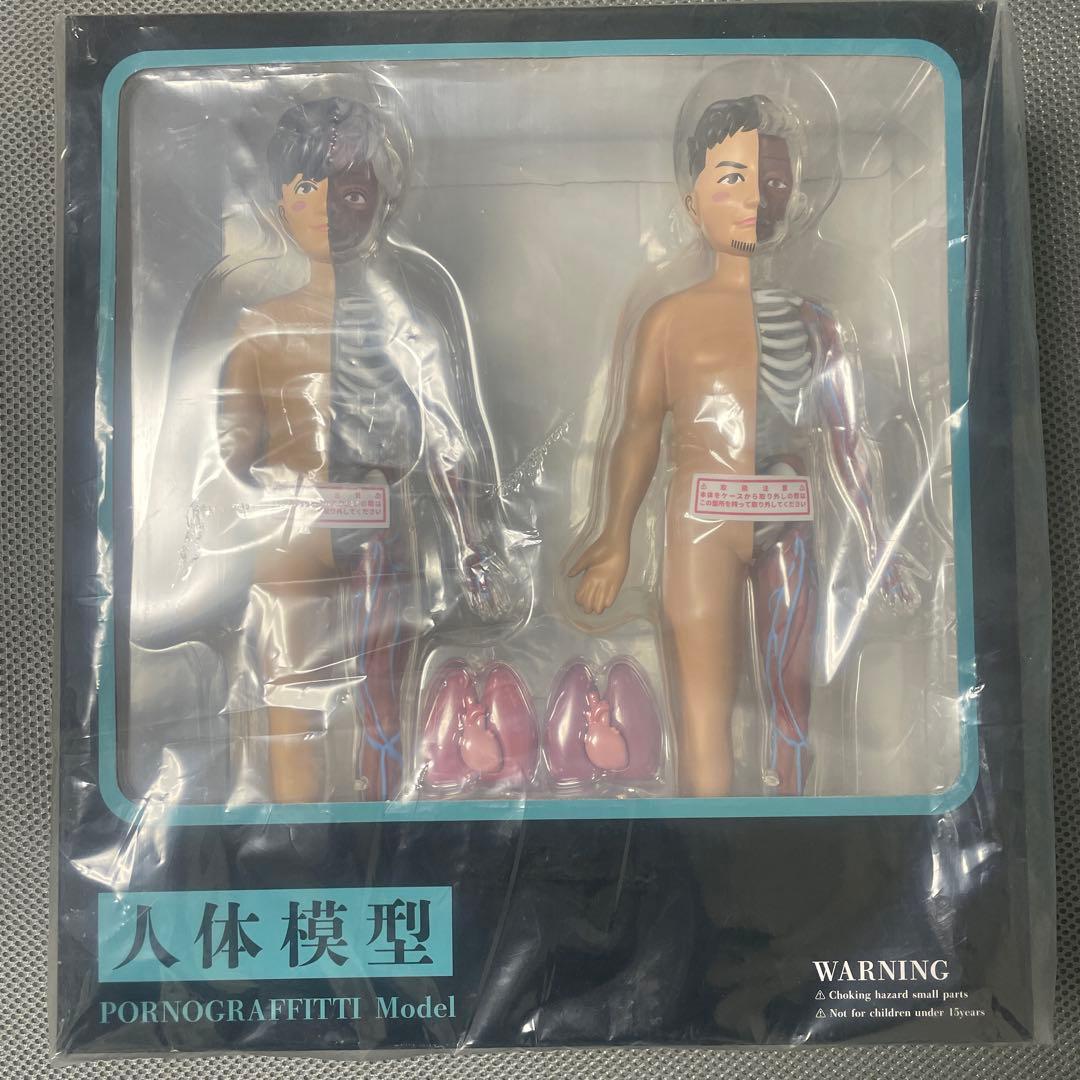 ポルノグラフィティ 人体模型 PORNOGRAFFITTI
