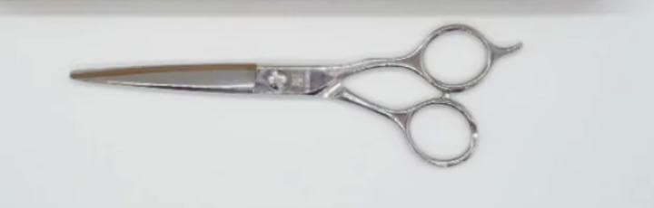 オオカワジザース