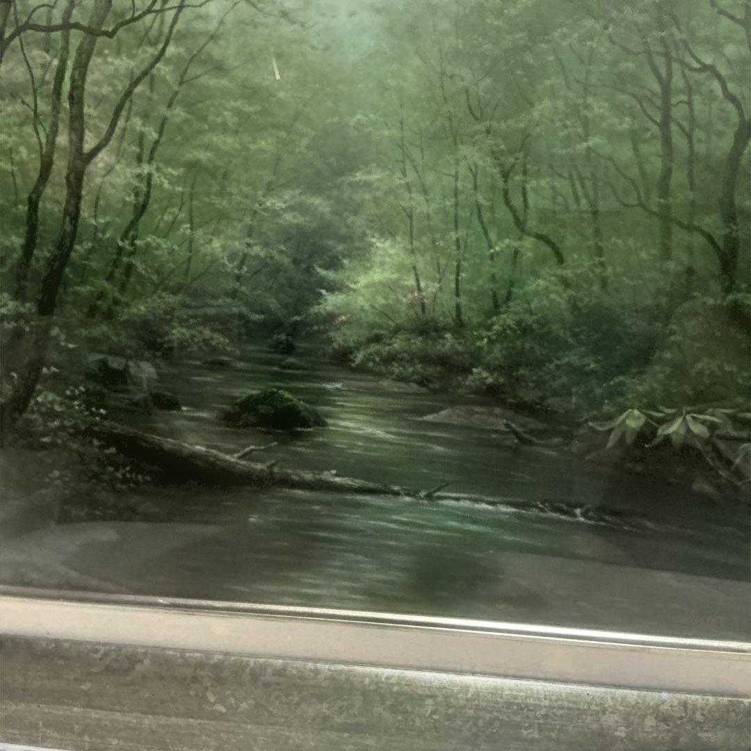 秀ちゃんさん専用　向山一石　（もいやまいつせき）　春光に憩う　「奥入瀬」　F6