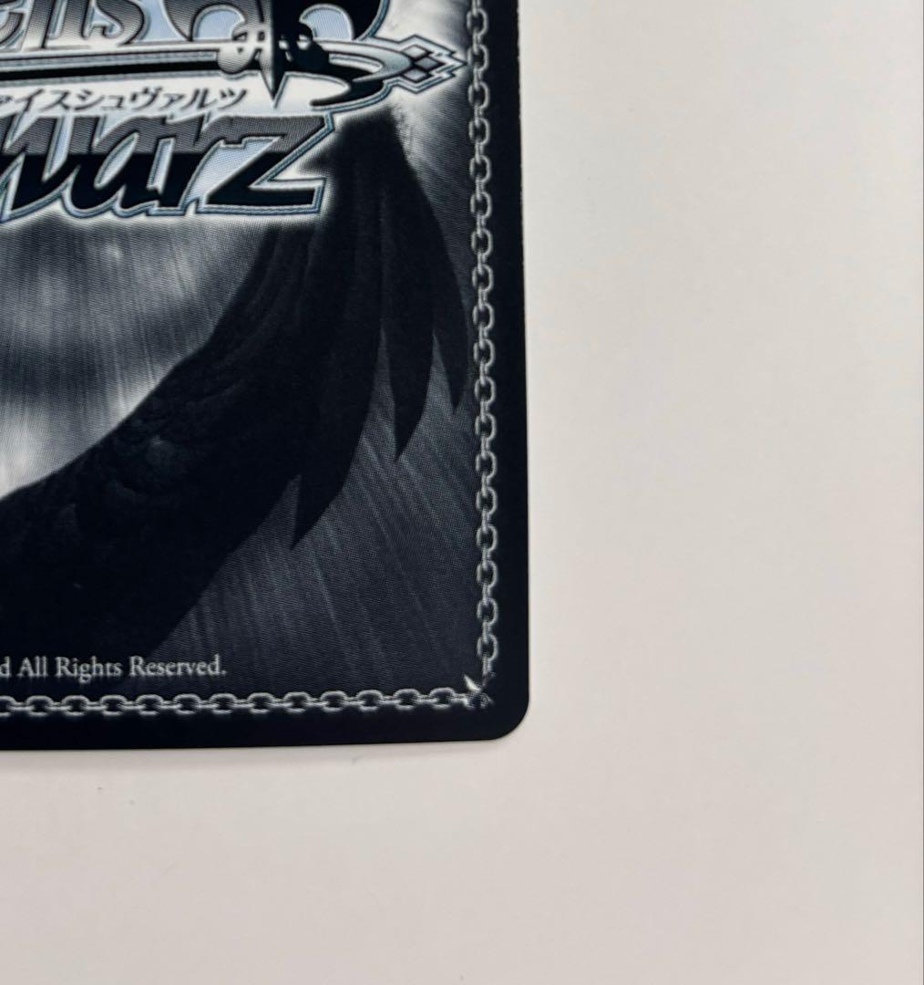 【ヴァイスシュバルツ】キャンプ場でおさんぽ 恵那&はんぺん&ちくわ