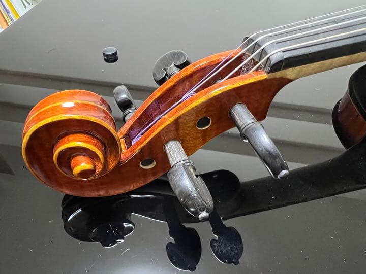 【新品同様】Gliga Gama2 4/4 弓、ケース、肩当てセット