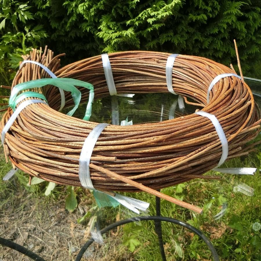 青森岩木山採取　あけび蔓　150cm～ 1kg