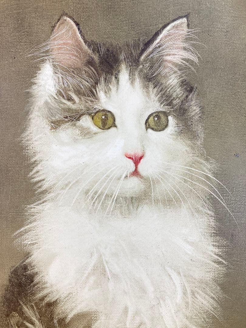 【真作保証】藤井勉「朝のマリー」油彩3号 直筆サイン 裏書き 絵画 額装 猫