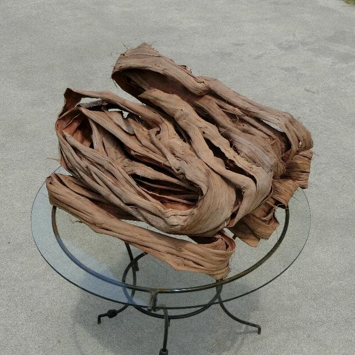 青森岩木山産 山葡萄 皮 樹皮 約2kg B品