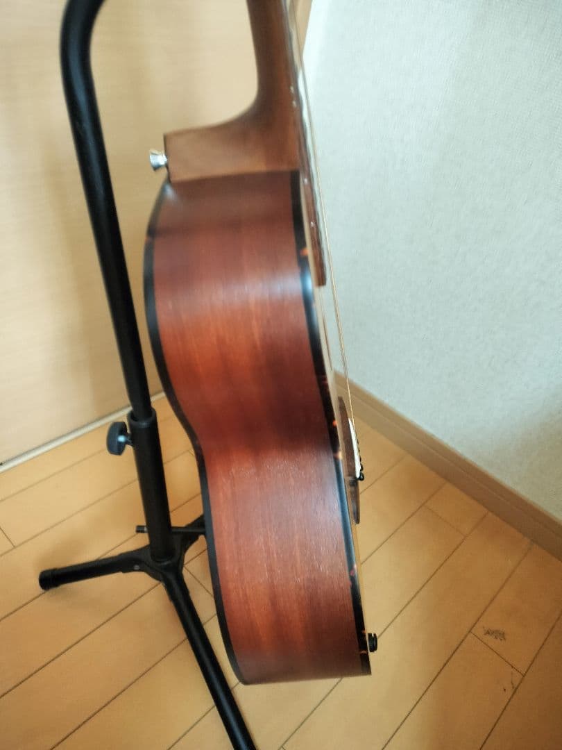 ギター Zemaitis CAM-80H Natural