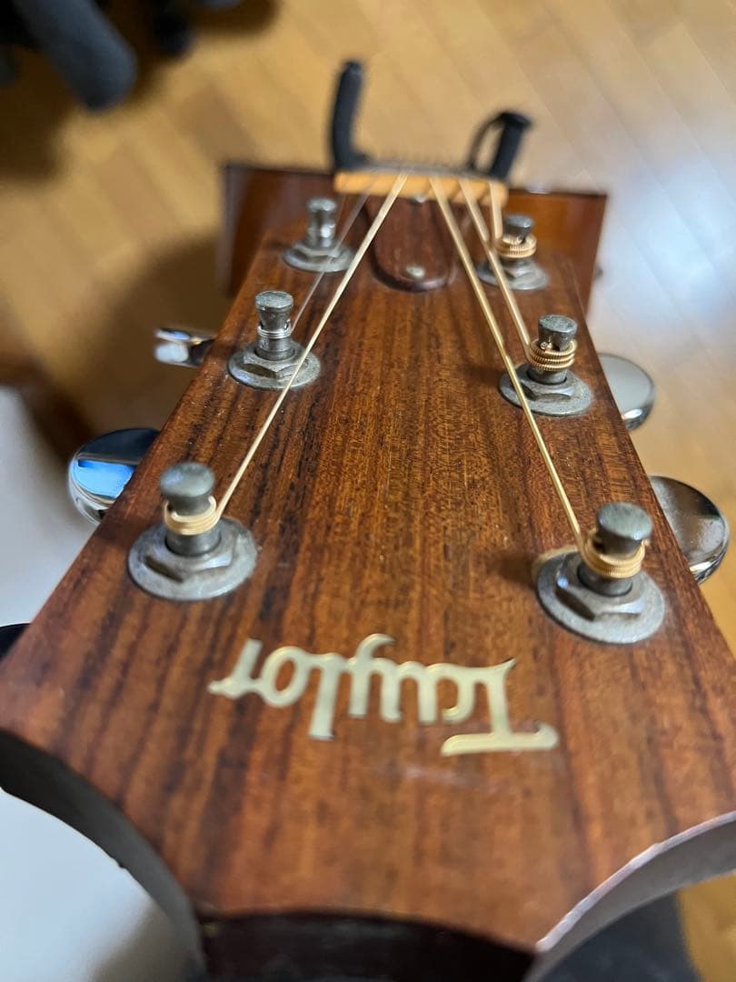 アコギ テイラー510