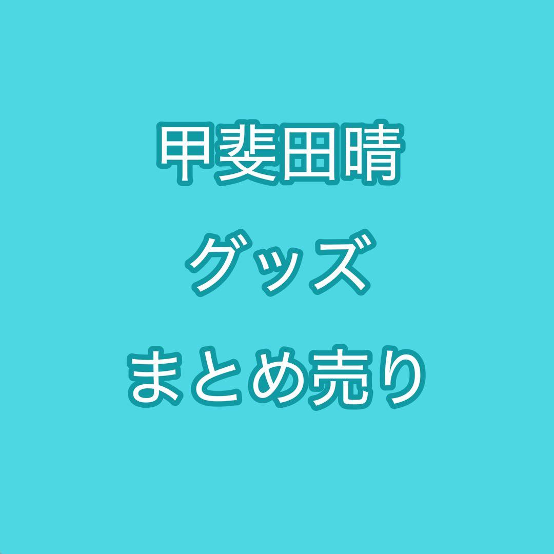 甲斐田晴 グッズセット