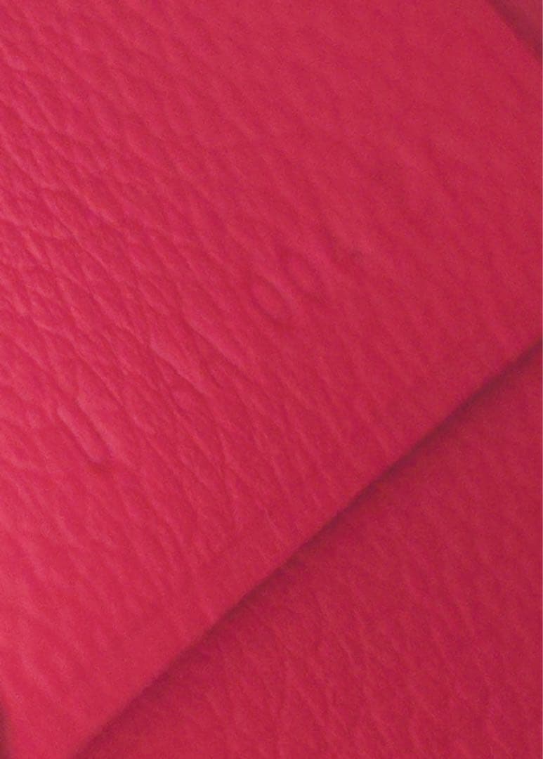 HERMES 未使用　バスティア　シェーブル　U刻印　ケース