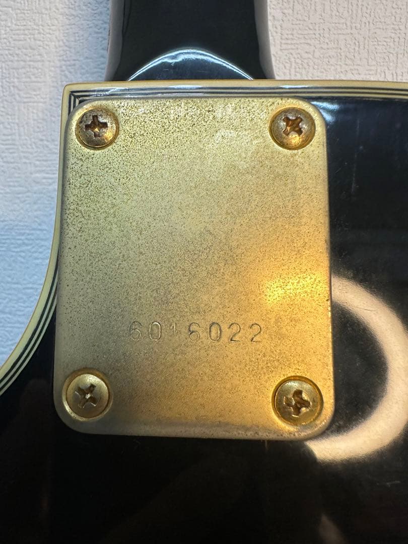 稀少エレキギター