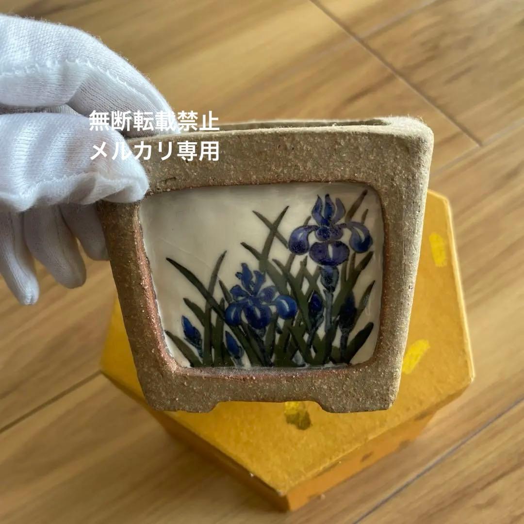 盆栽鉢　桑津香石　絵鉢　菖蒲　山野草　正方形