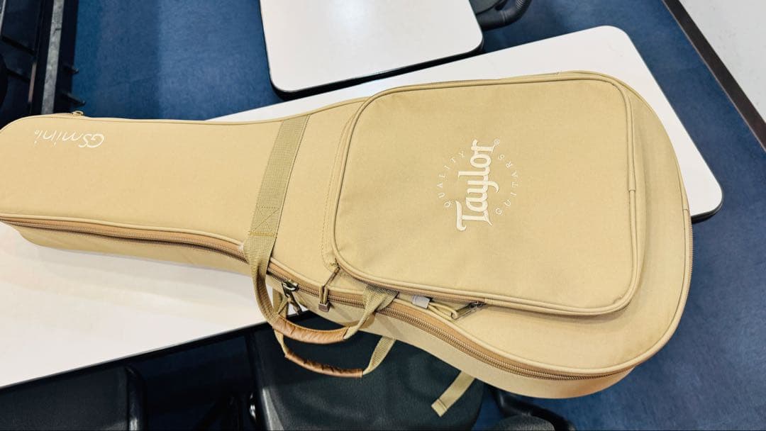 最終価格 Taylor GS Mini 限定 walnut