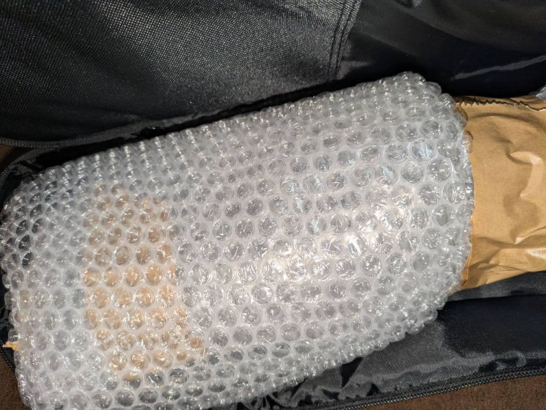 ギター ibanez TOD10N