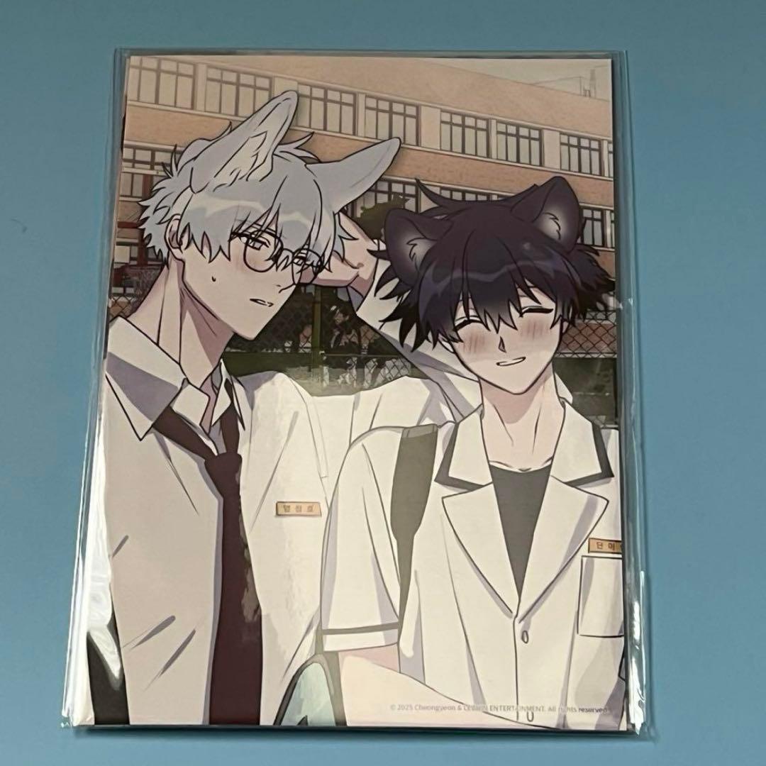 韓国BL キミを探す波　フォト2枚　トレカ12枚　セット