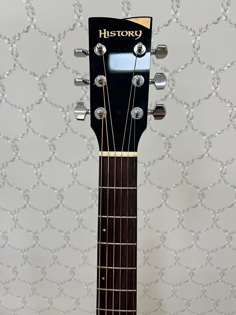 HISTORY NT S4 アコースティックギター ヒストリー nts4