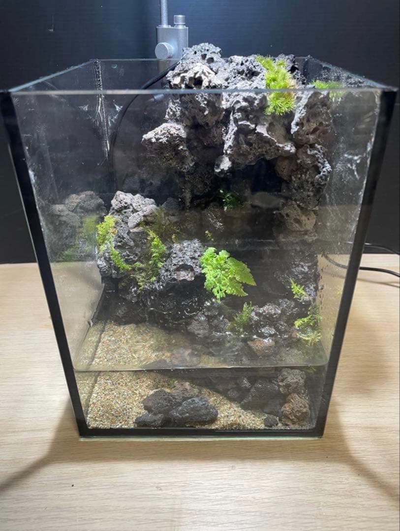 【りーり】滝のあるアクアテラリウム
