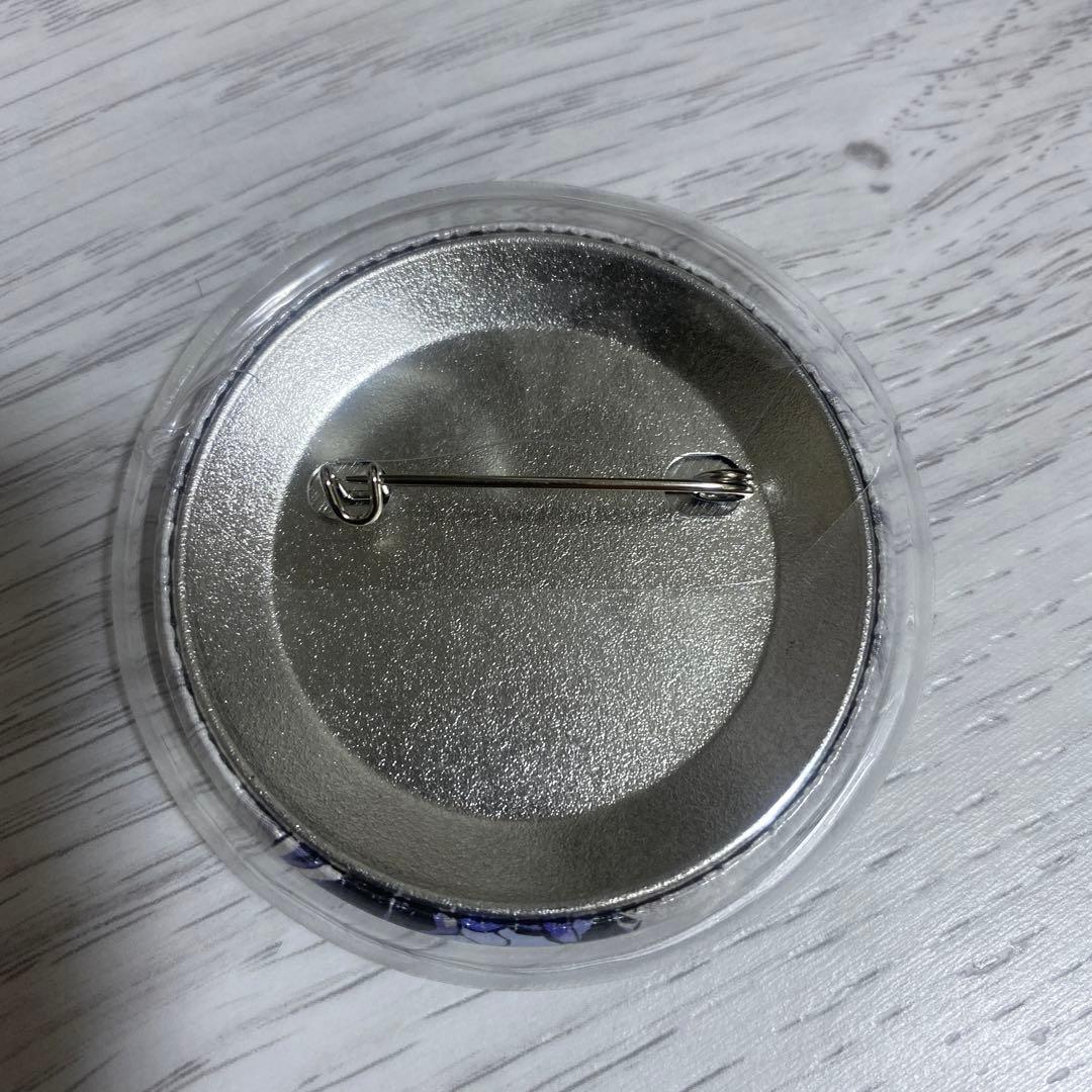 鬼滅の刃 幕間画 缶バッジ 胡蝶しのぶ カナエ 栗花落カナヲ アオイ 堕姫 6点