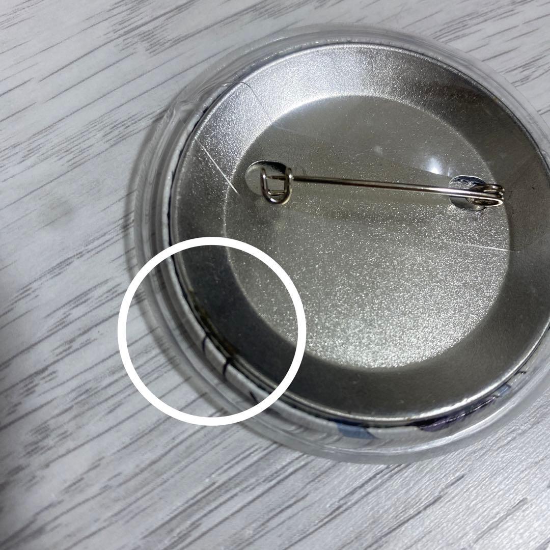 鬼滅の刃 幕間画 缶バッジ 胡蝶しのぶ カナエ 栗花落カナヲ アオイ 堕姫 6点