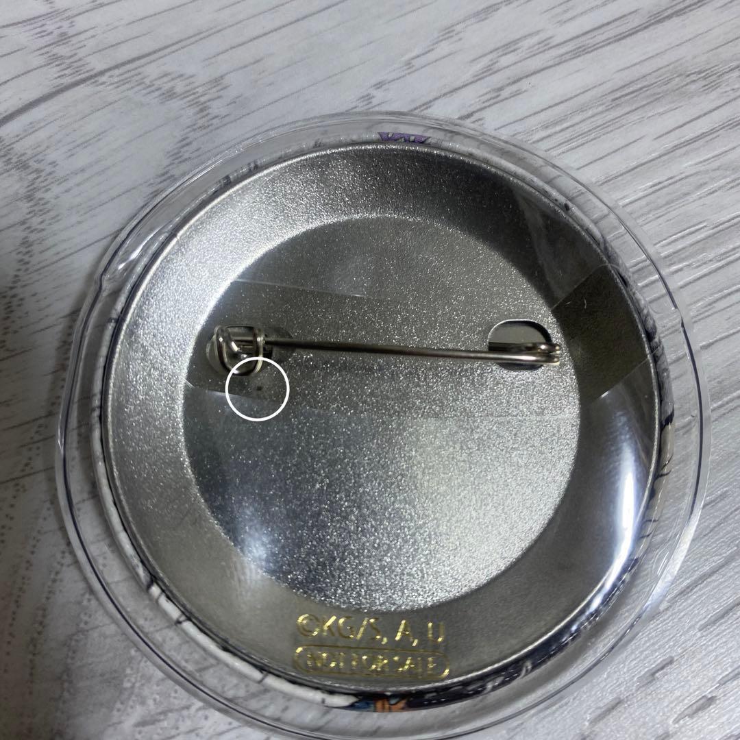 鬼滅の刃 幕間画 缶バッジ 胡蝶しのぶ カナエ 栗花落カナヲ アオイ 堕姫 6点