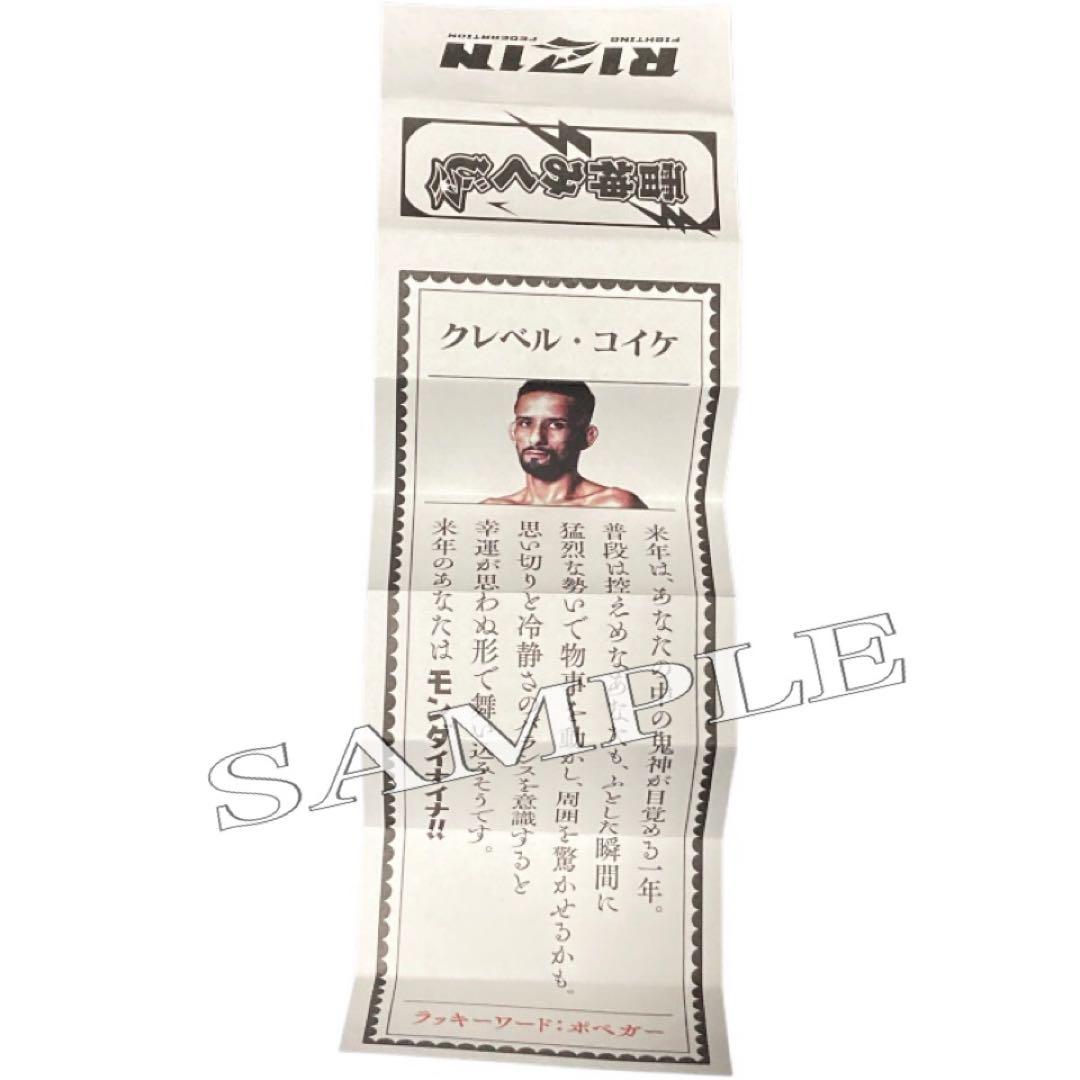 ◆おまけ多数◆ RIZIN 師走の超強者祭り パンフレット CD