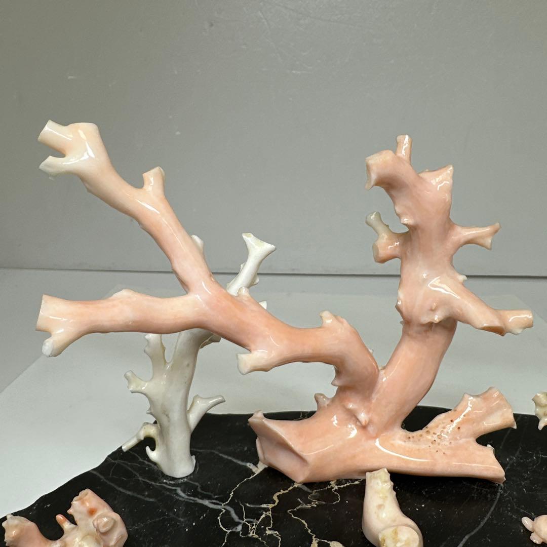 本ぼけ珊瑚　極太原木　赤珊瑚カメ　置物　約291gトコエ　東さ8-0104☆1F