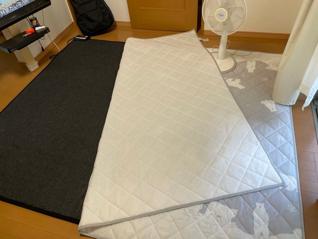 ホットカーペットと夏用冷んやりラグ