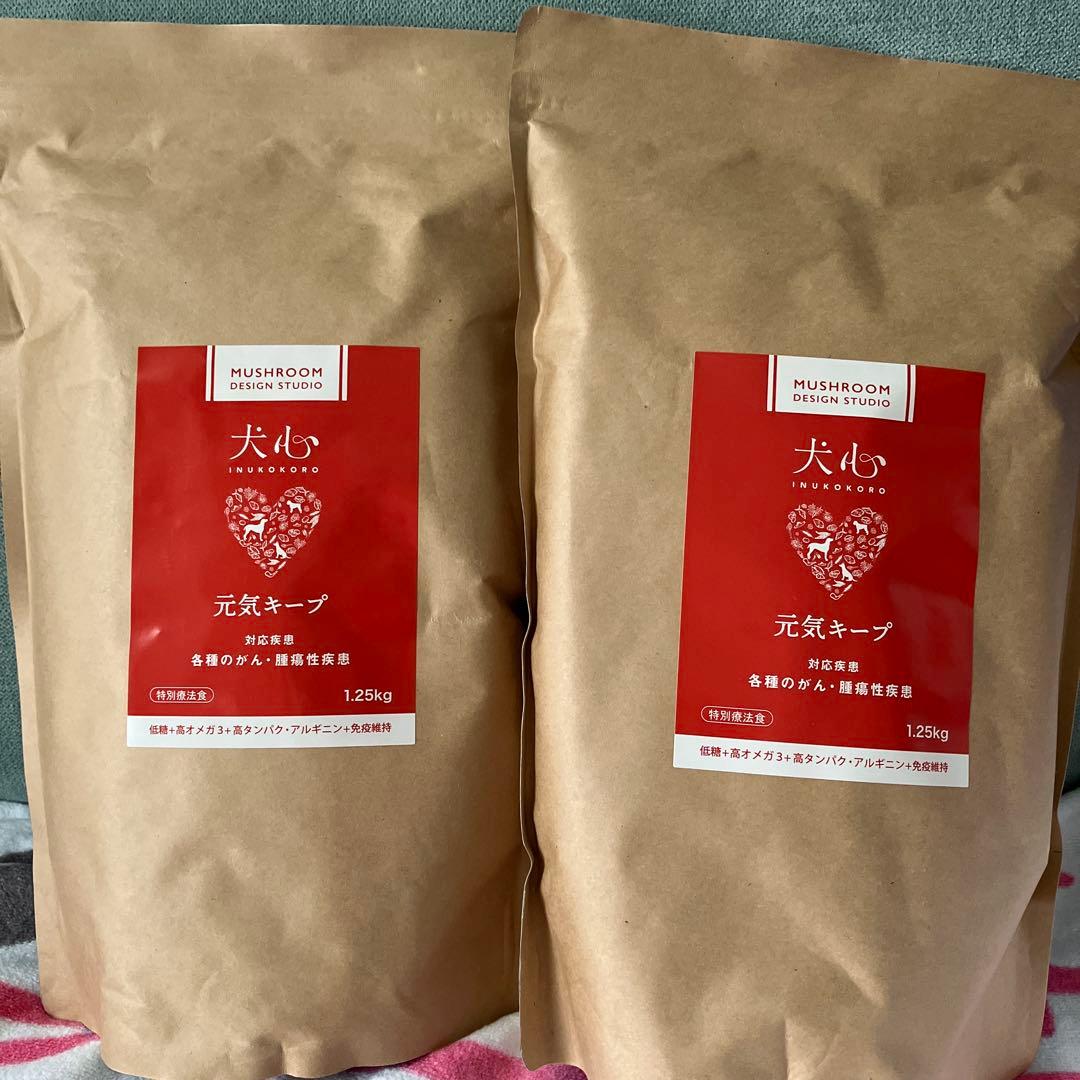 犬心 元気キープ 各種のがん　腫瘍性疾患　特別療養食　1.25kg×2袋