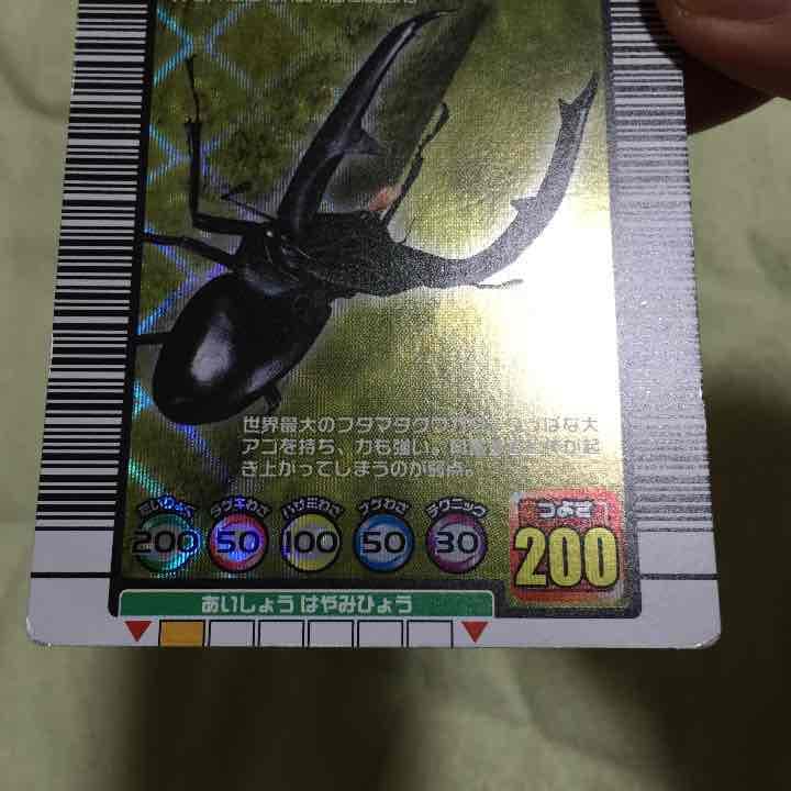 訳アリ確認用。マンディブラリス