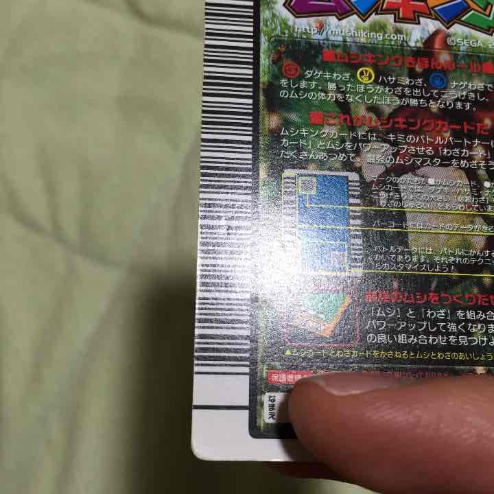 訳アリ確認用。マンディブラリス