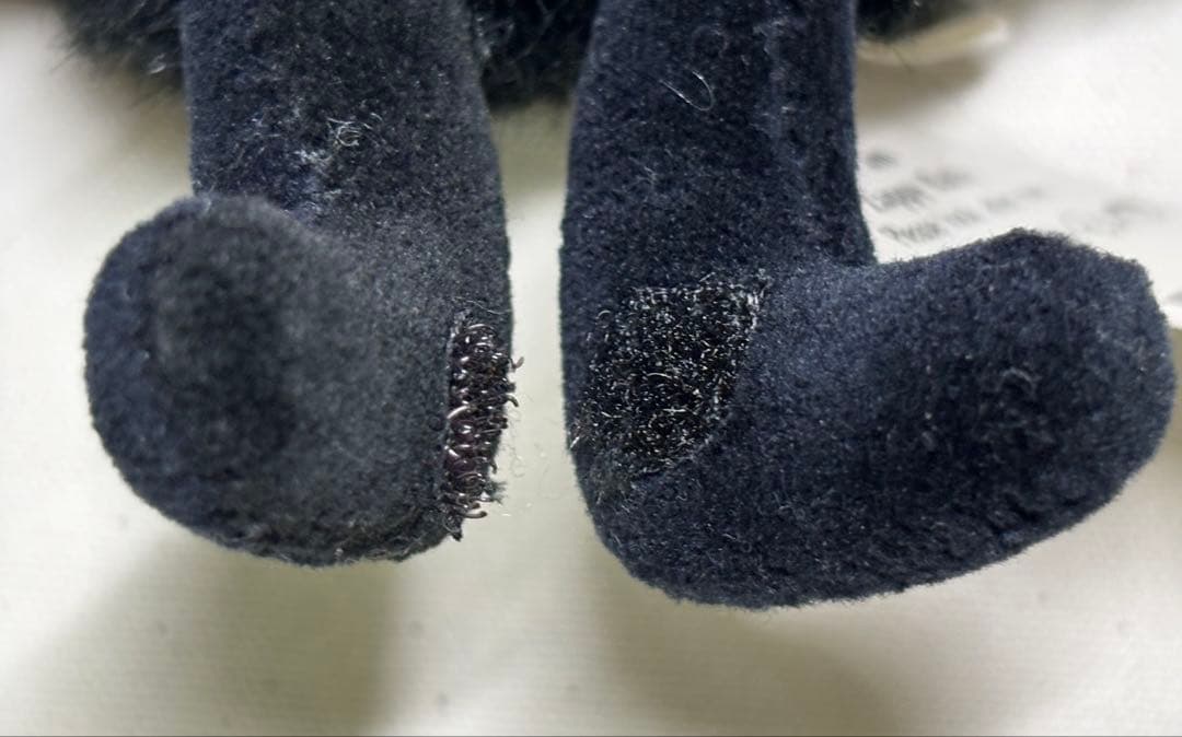 ジェリーキャット コウモリ  イギリス 英国 bat old