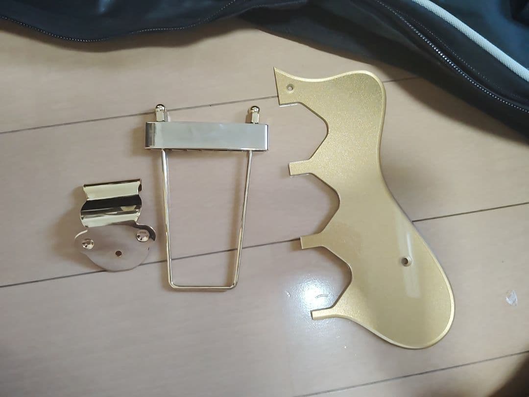 エピフォン リベエラ　P93 抜け殻