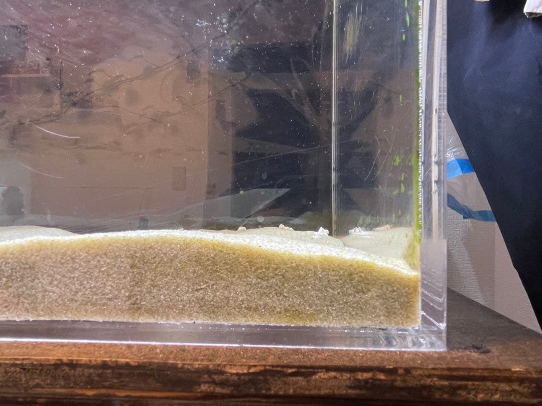 アクリル水槽 120cm×45cm×45cm 厚み10mm 大型 鑑賞魚