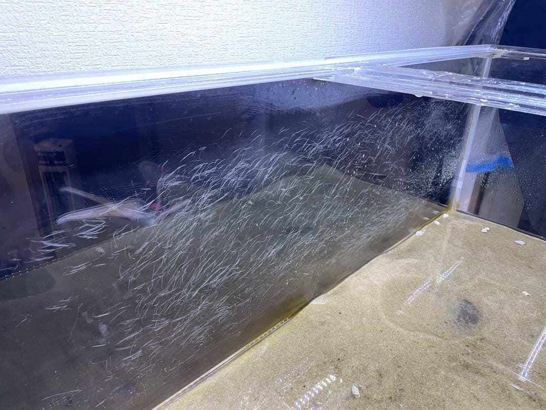 アクリル水槽 120cm×45cm×45cm 厚み10mm 大型 鑑賞魚