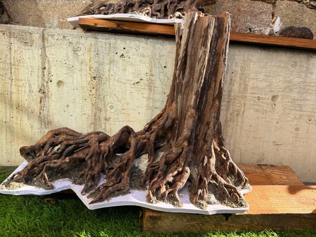 60センチ水槽用のレーアウト