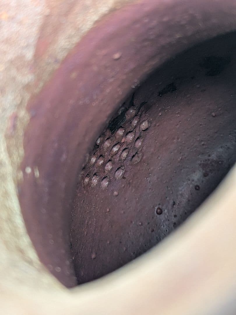 南蛮手急須 煎茶道具 煎茶器 ティーポット 食器 容器 水差 水注 ピッチャー