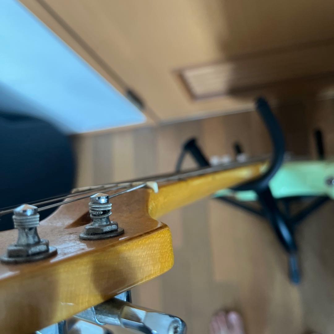 SELDER　セルダー エレキギター グロスネック ストラトキャスター