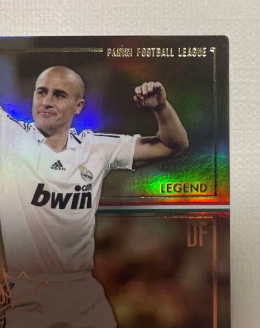 パニーニフットボールリーグ ファビオカンナバーロ