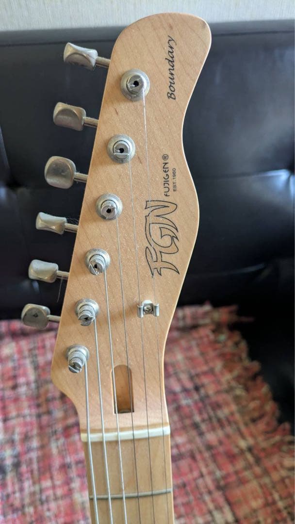 FUJIGEN テレキャス ケース付き