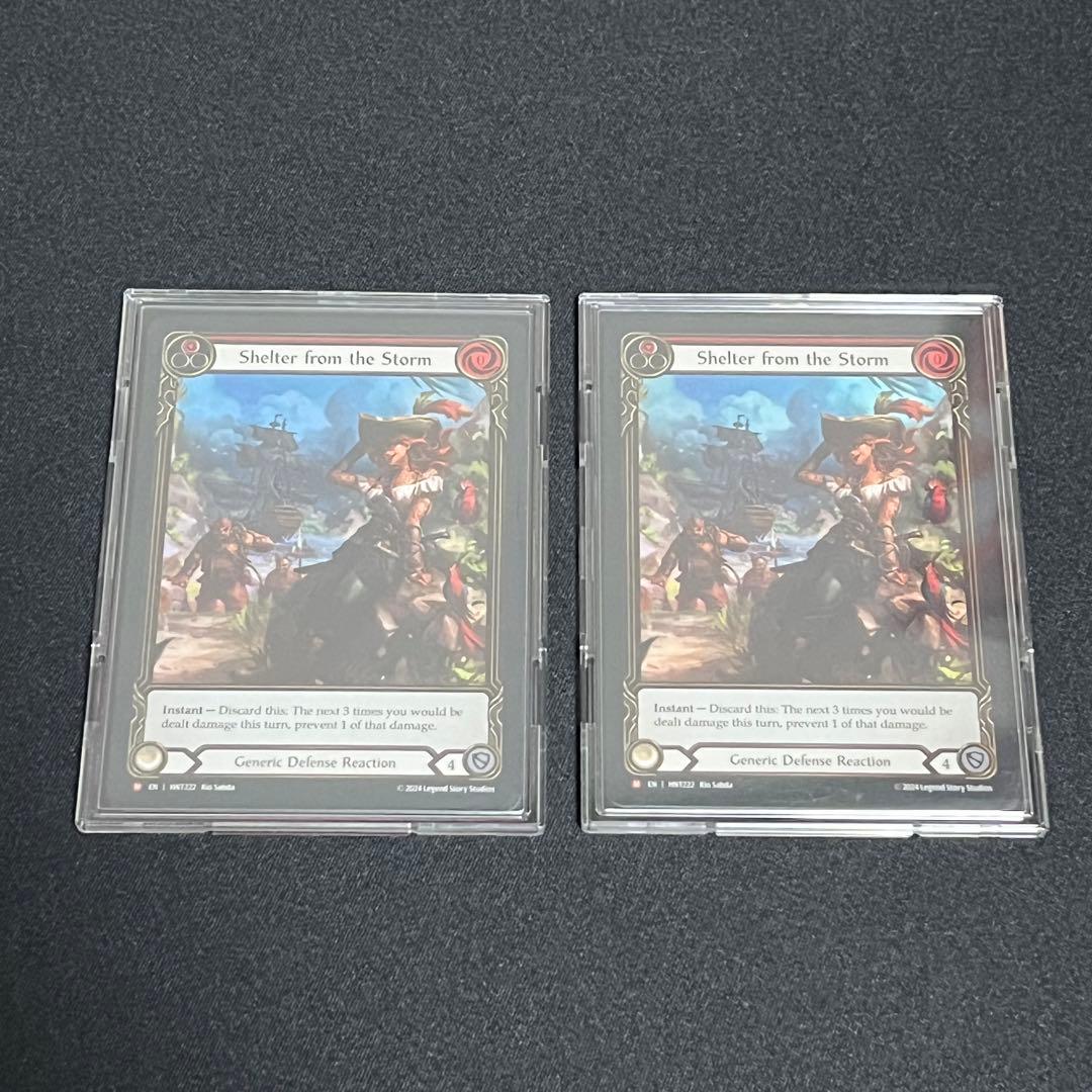 fab Shelter from the Storm 英語版 EA RF 2枚