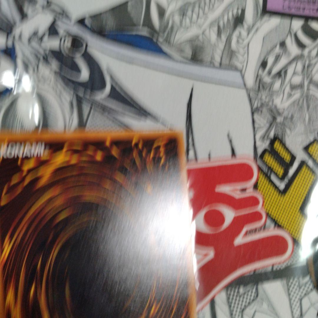 エラーカード　ニスズレ　暗黒騎士ガイア　遊戯王　初期