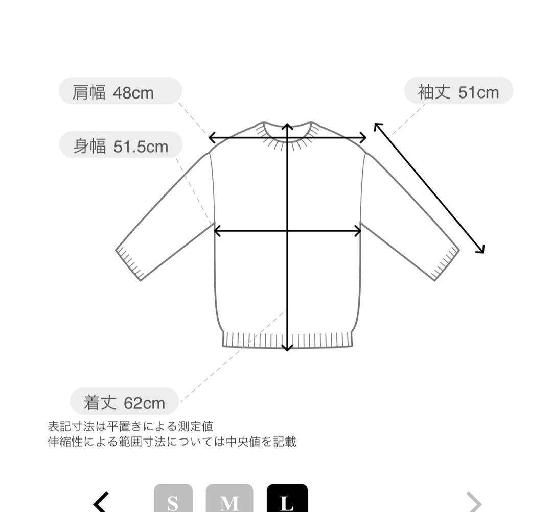 新品タグ付き　JUN&ROPE 配色ニットプルオーバー　白　Ｌ　ゴルフ