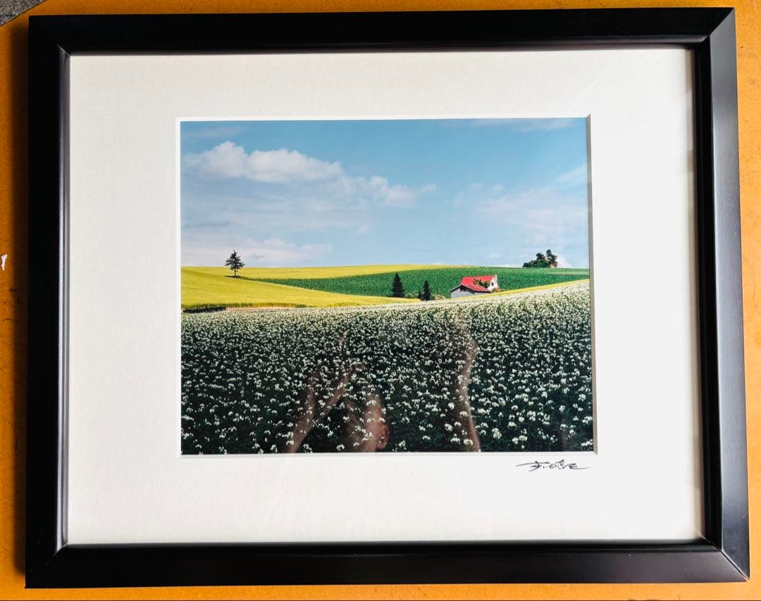 前田真三　風景写真(大)