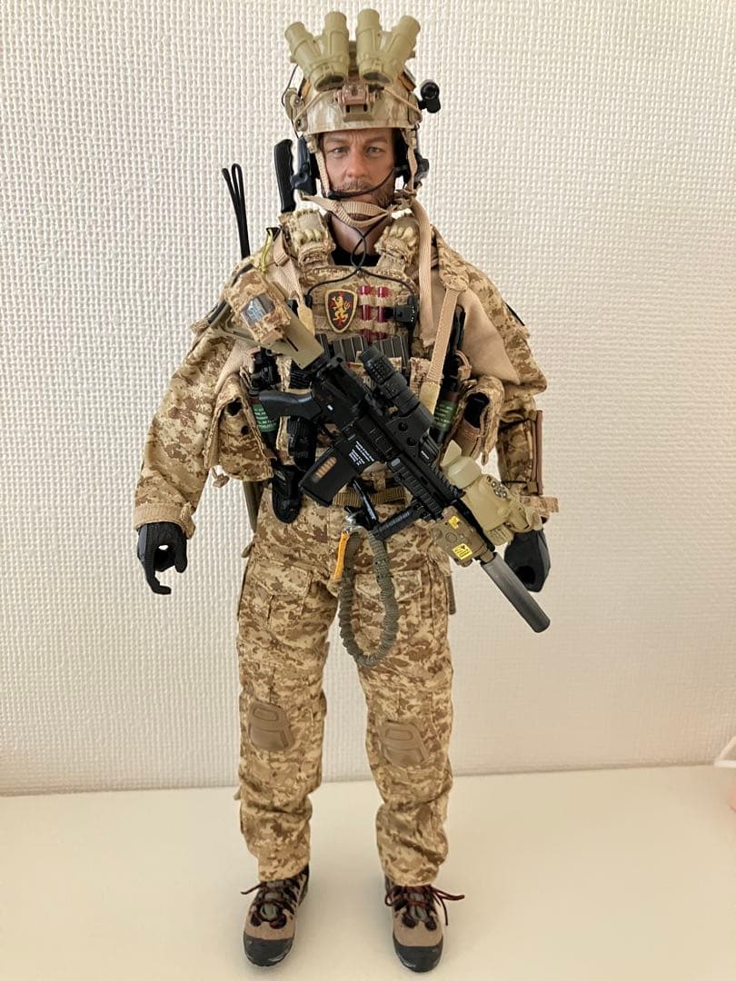 DAMTOYS 1/6　DEVGRU ネプチューン・スピア作戦 ジェロニモ