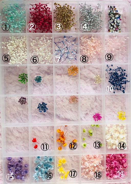 ハーバリウムボールペン✐☡【オーダー専用】