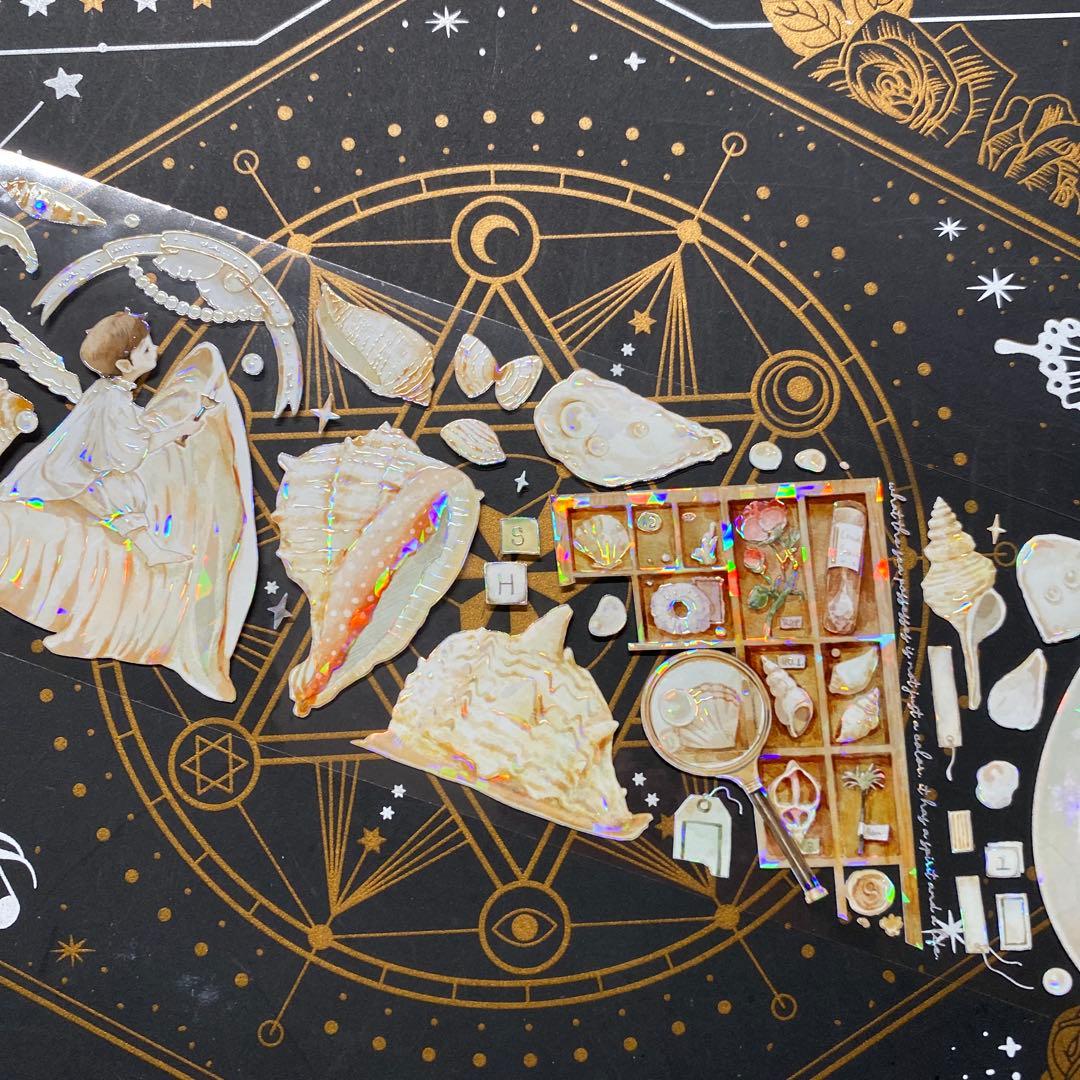 【9262】海外　マステ　中古巻　貝殻光マスキングテープ　貝　装飾系