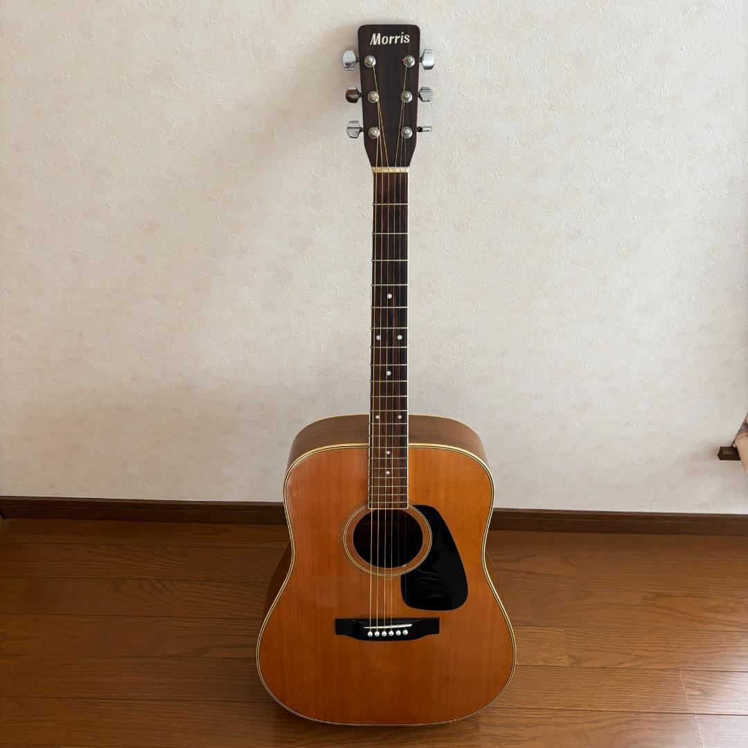 Morris　MD-505　アコースティックギター