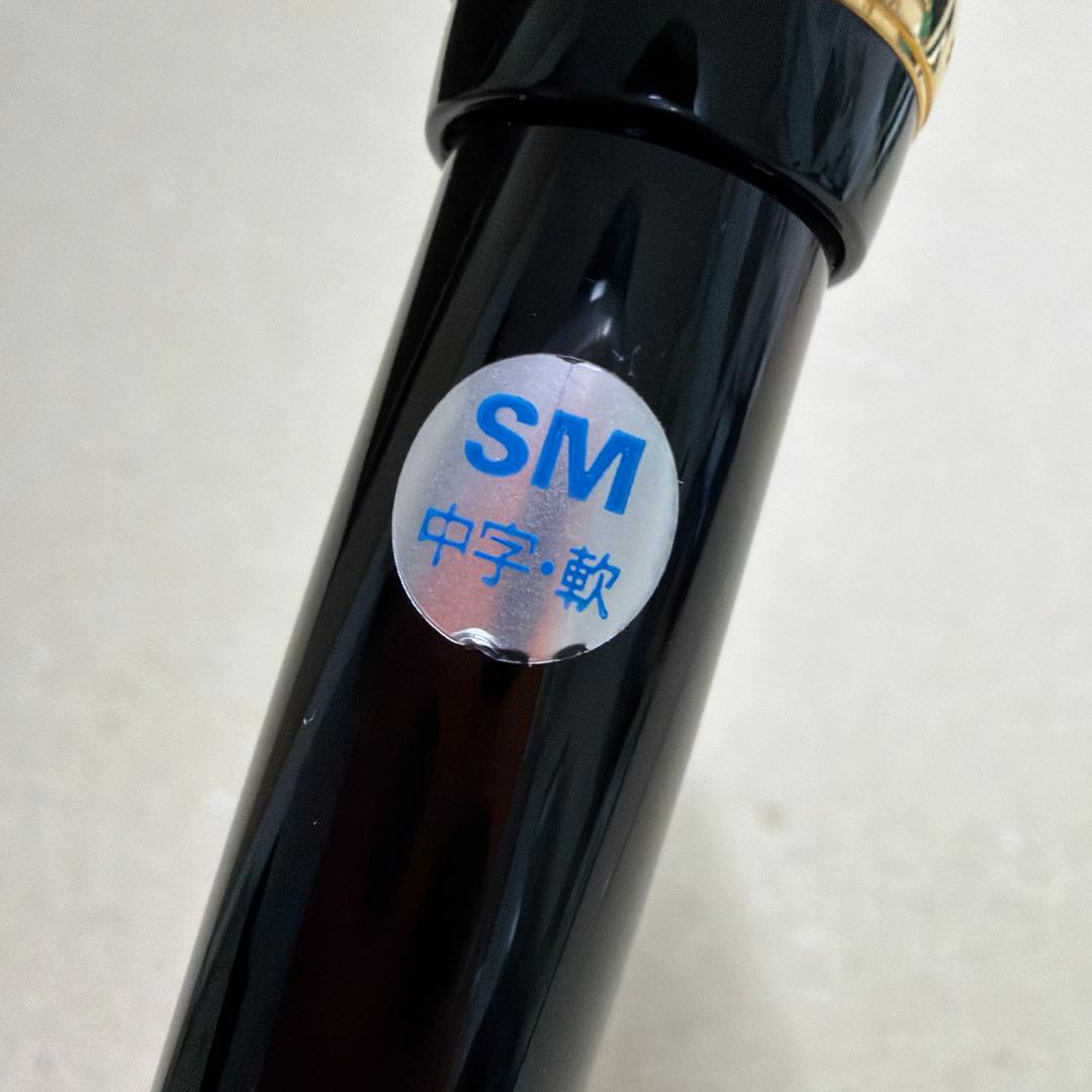 新品 PILOT パイロット Custom カスタム 742 万年筆 SM 黒