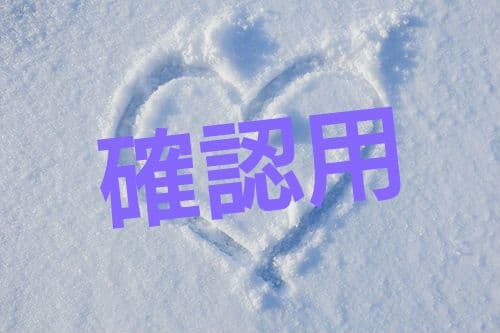 確認用