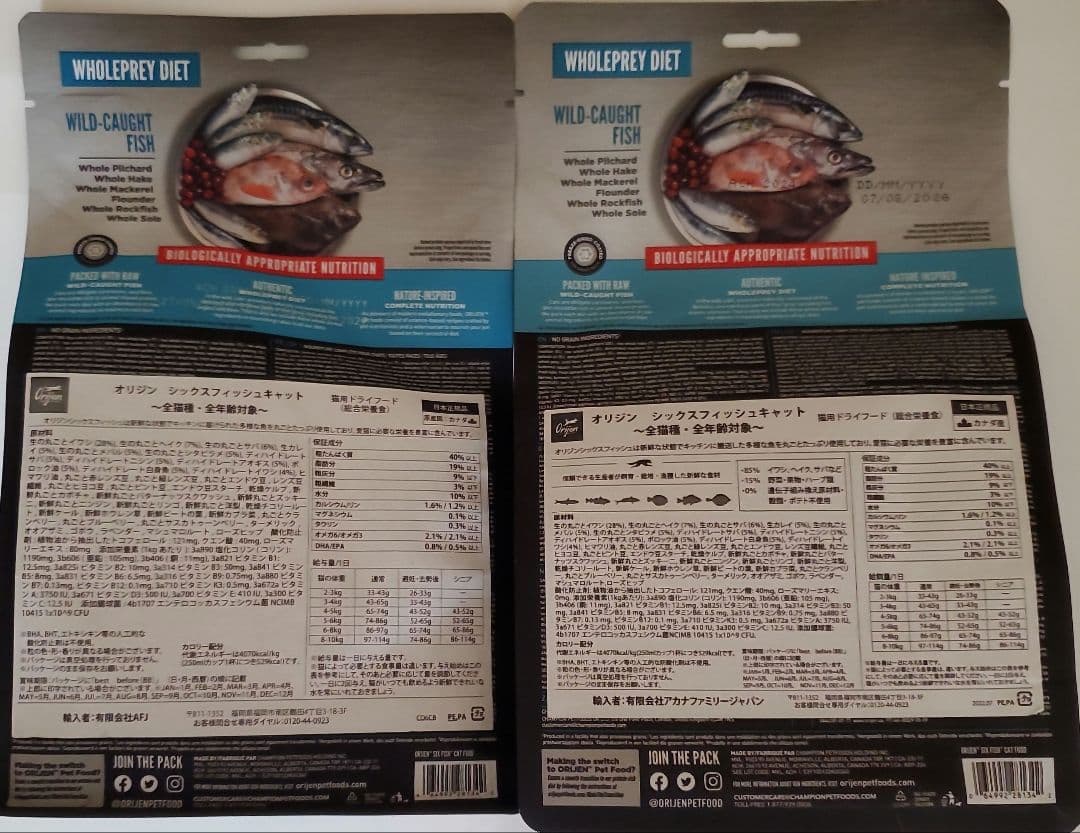 オリジン　Origin　シンドラキャット　シックスフィシュキャット　猫用