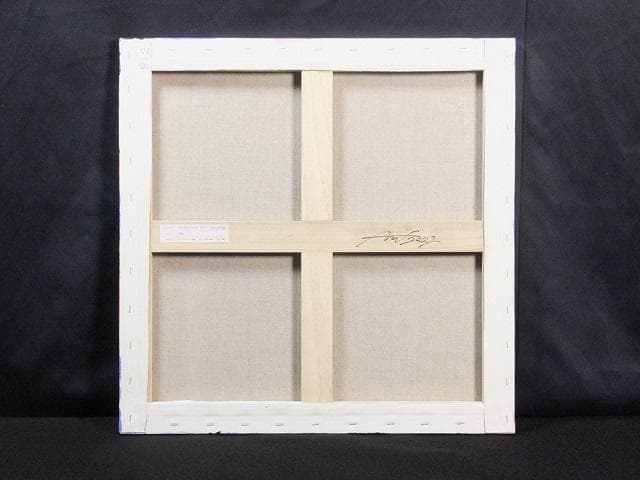 現代アート Aaaaaaaa（アー）直筆サイン『作品』12号スクエア 1127A