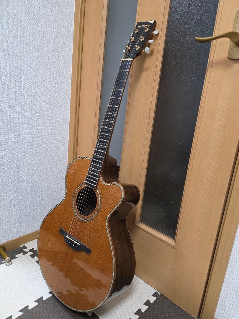 アコースティックギターHISTORY NT-301